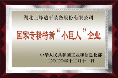 國(guó)家級(jí)專(zhuān)精特新“小巨人”企業(yè)證書(shū)